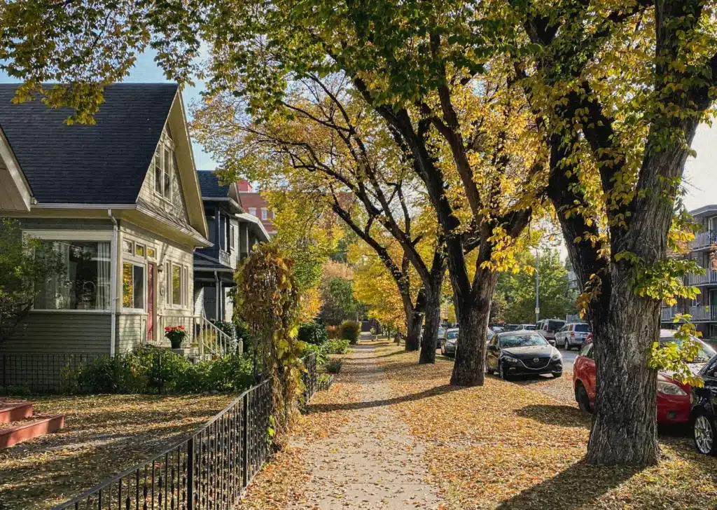 A Calgary neighbourhood on a sunny afternoon.